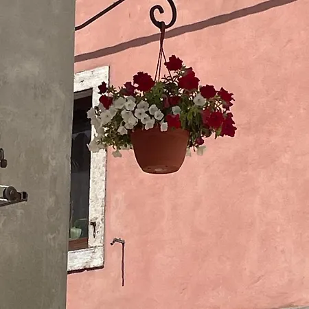 Apartament Alma Vodnjan